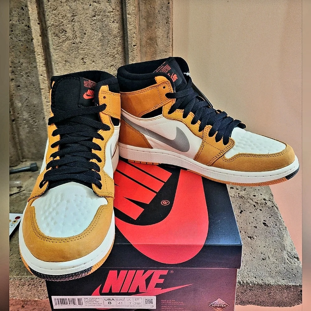NIB Air Jordan 1 Element Gore-Tex 